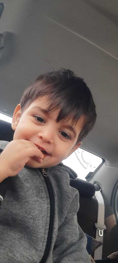 عکس  علی بردبار
